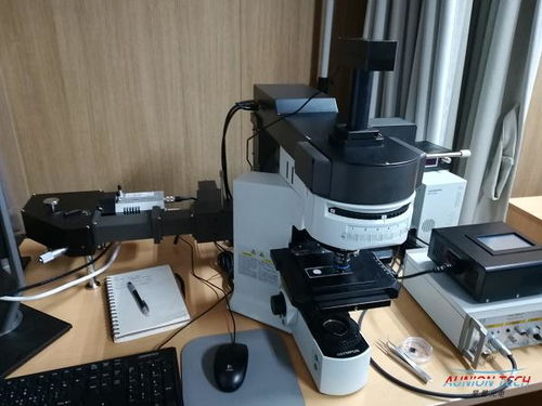 紅外與拉曼光譜技術(shù) 原理、應(yīng)用與技術(shù)交流綜述